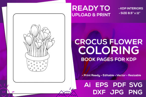 Crocus Flowers Coloring Book Pages Kdp for Graphics and Kdp Interiors