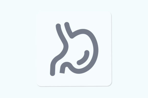 Stomach Graphics for Modern Editorial Design